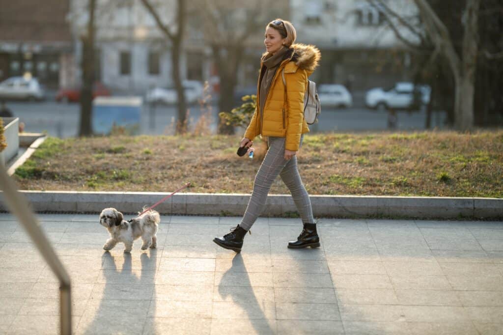 A woman walking with her dog one autumn morning